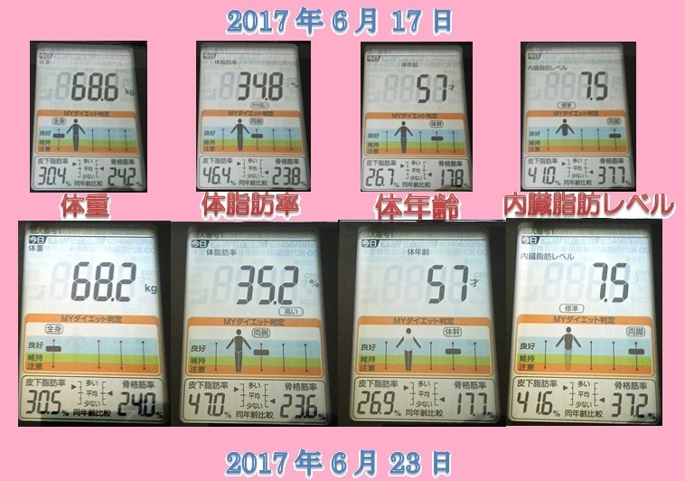 20170623体重比較.jpg