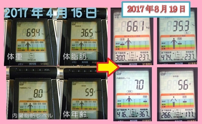 20170819カラダスキャンログ.jpg