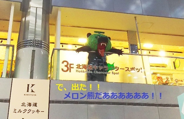201708メロン熊2.jpg