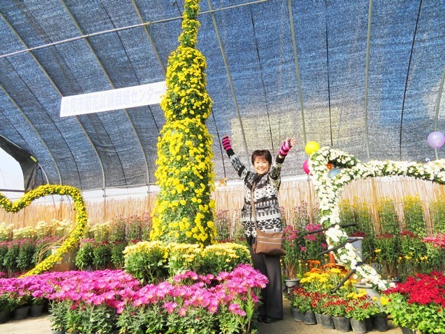 20171020kiku16.jpg