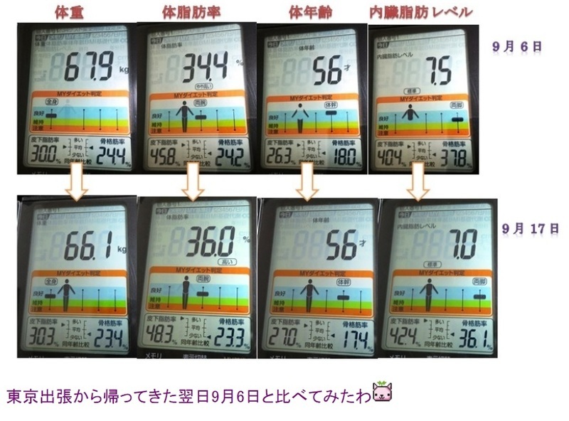 2017年9月17日の記事より.jpg