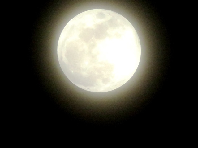 201801311840.jpg