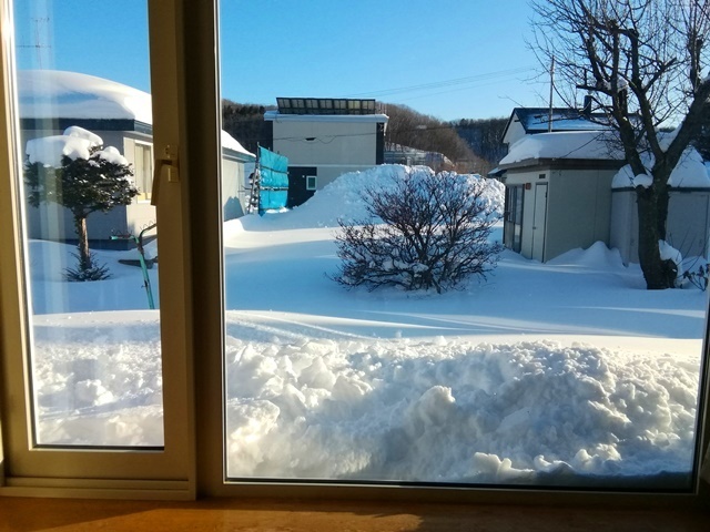20180218積もったわあ.jpg