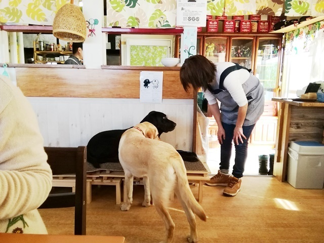 20180307昼2.jpg