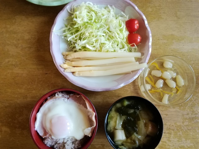 20180331昼.jpg