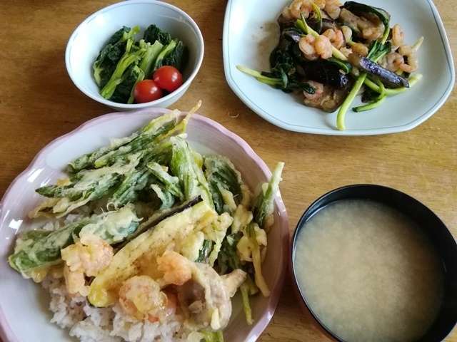 20180429お昼.jpg