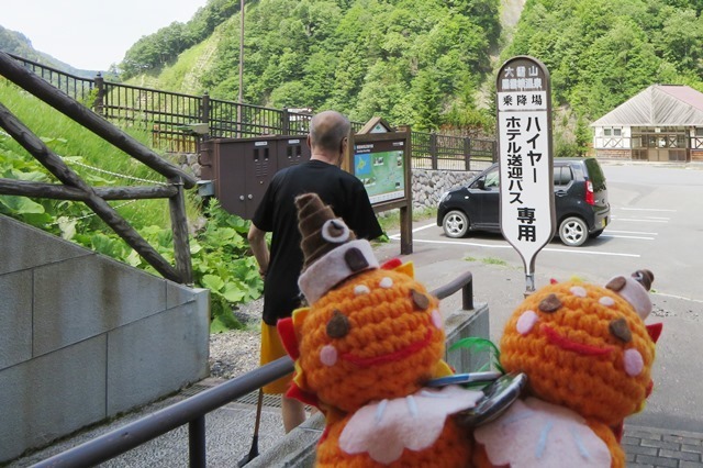 20180720しっかり歩いてる.jpg