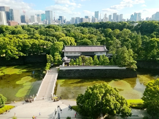IMG_20170902_154102.jpg