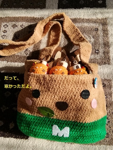 IMG_20190202_111523 - コピー.jpg