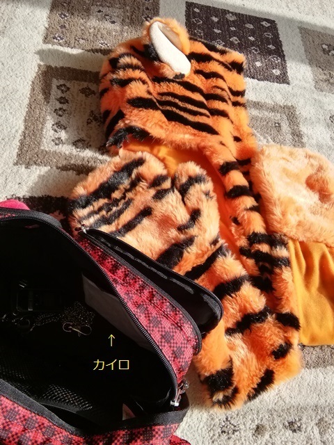 IMG_20190202_112821 - コピー.jpg